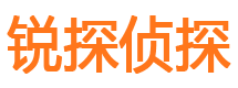 城步市私家侦探